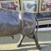 Skulptur Dekoration Stier Bronze 1,45 m – Bild 10