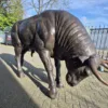 Skulptur Dekoration Stier Bronze 1,45 m – Bild 13