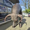 Skulptur Dekoration Stier Bronze 1,45 m – Bild 5