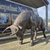 Skulptur Dekoration Stier Bronze 1,45 m – Bild 3