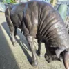 Skulptur Dekoration Stier Bronze 1,45 m – Bild 14