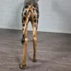 Deko-Figur Skulptur Giraffe 1,10 m – Bild 17