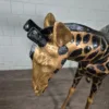 Deko-Figur Skulptur Giraffe 1,10 m – Bild 7