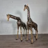 Deko-Figuren Skulpturen Giraffen 1,10 m - 1,40 m – Bild 4