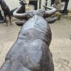 Skulptur Dekoration Stier Bronze 1,55 m – Bild 8