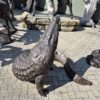 Skulptur Deko-Figur Krokodil Bronze 1,37 m – Bild 5
