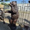 Skulptur Deko-Figur Bär Bronze 1,95 m – Bild 2