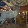 Dekoration Skulptur Hirsch Gusseisen 1,73 m – Bild 19