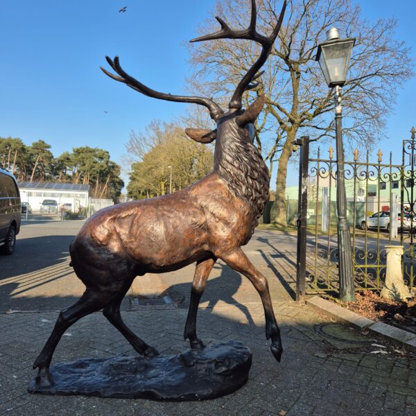 Skulptur Dekoration Hirsch Bronze 2,13 m – Bild 11