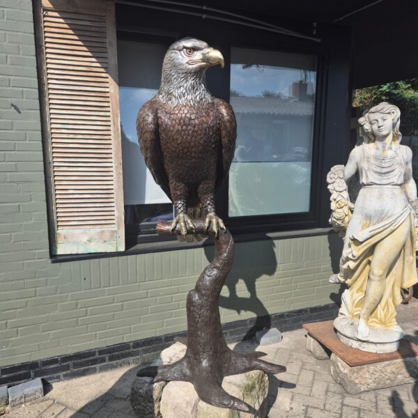 Skulptur Dekoration Adler Bronze 1,80 m