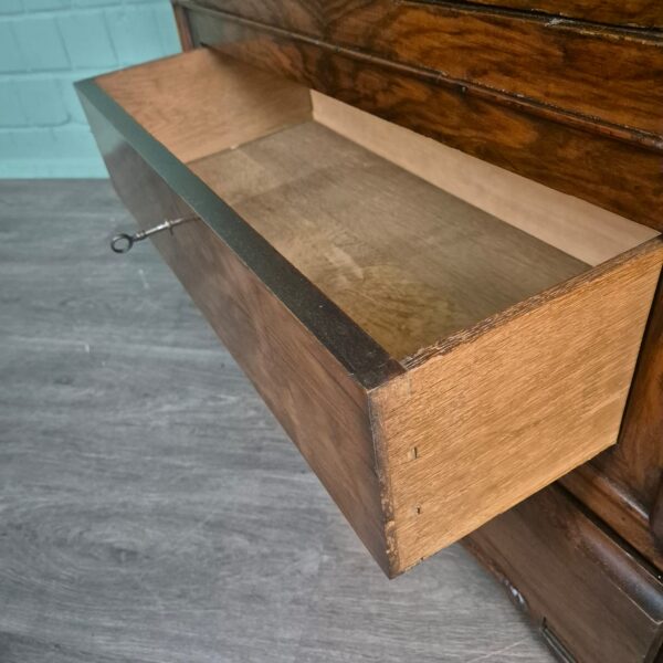 Vitrine Geschirrschrank Spätbiedermeier 1850 Nussbaum – Bild 15