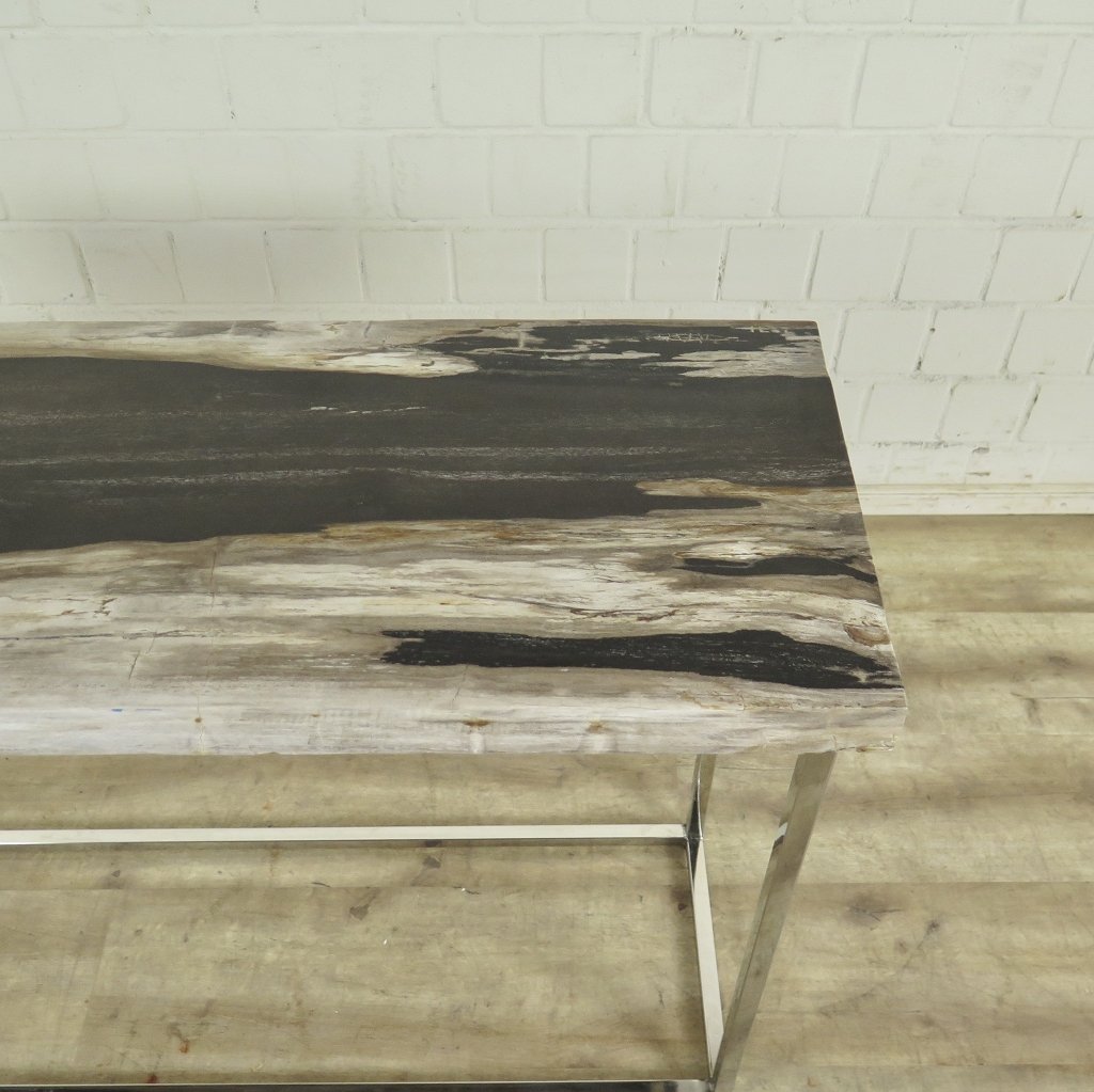 Wandtisch Sideboard Fossil versteinertes Holz 1,20 m x 0,40 m